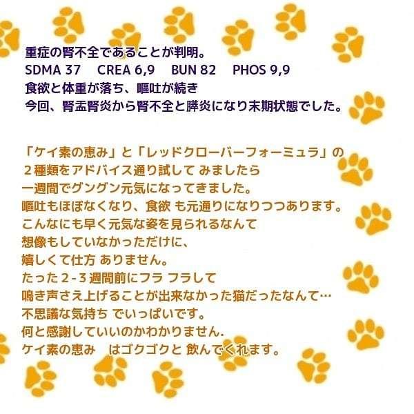 ケイ素の恵み　50ml　高齢猫　猫　犬　解毒　サプリメント　ケイ素｜pet-angele｜06