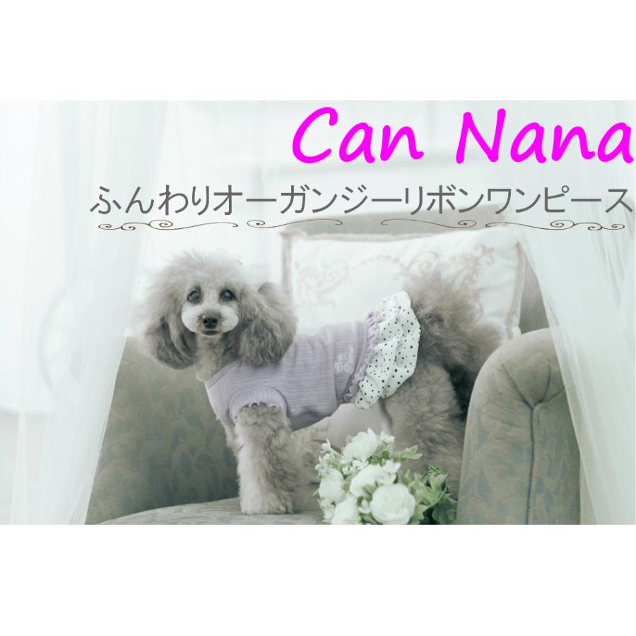 きゃんナナ 春夏新作 ふんわりオーガンジーリボンワンピース Ss Lサイズ 小型犬 1009 Pet Chou Chou 通販 Yahoo ショッピング
