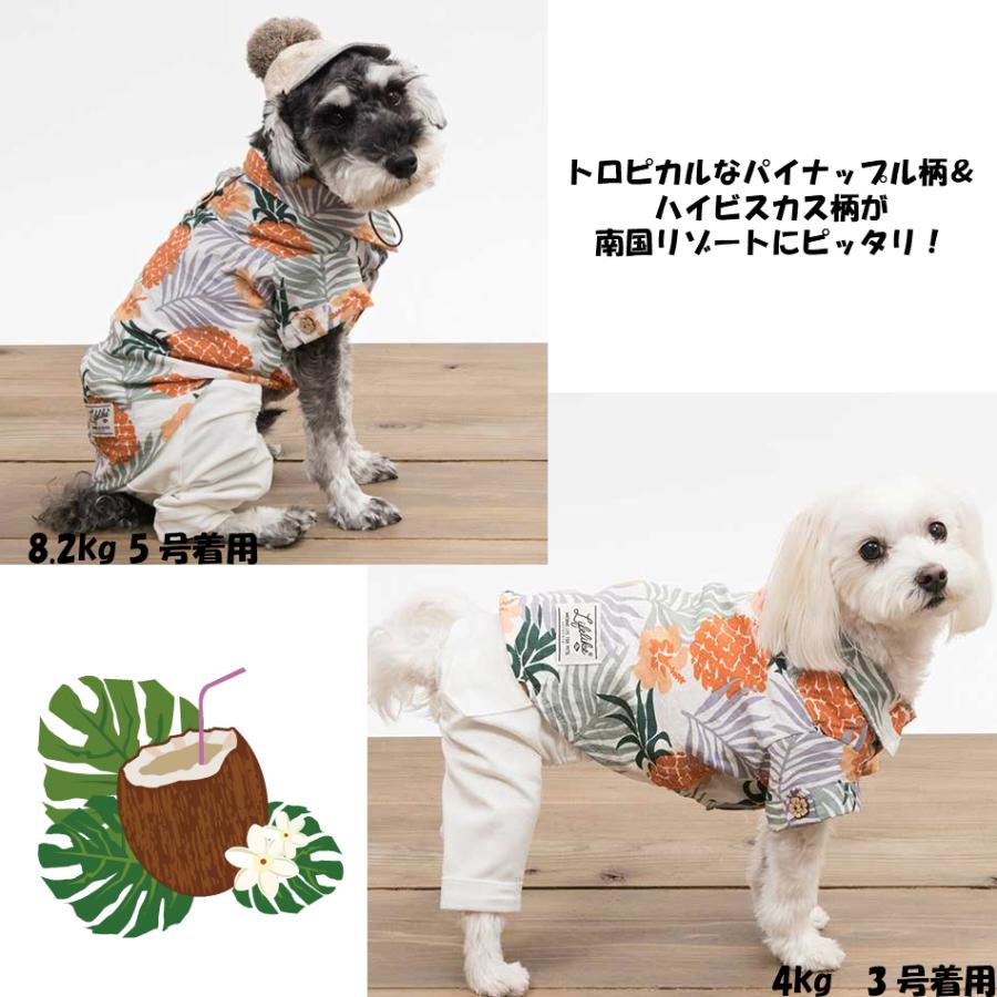 Lifelike トロピカルリゾートスタイル 1号 5号 ライフライク 犬服 ドッグウェア ワンピース シャツ 夏 小型犬 中型犬 81s008 Pet Chou Chou 通販 Yahoo ショッピング