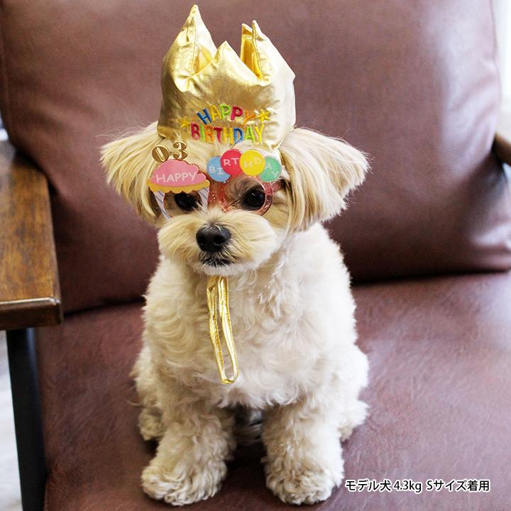 Lifelike バースデーメガネ Sサイズ ライフライク ペット用眼鏡 犬 小型犬 おしゃれ アクセサリー コスプレ パーティ 誕生日 写真撮影 コス Birthdayglass Pet Chou Chou 通販 Yahoo ショッピング