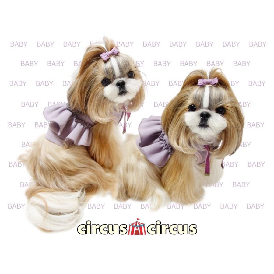 犬服 Girls Baby Pk Circus Circus Xxs Sサイズ サーカスサーカス ガールズベイビーパーカー ドッグウェア 重ね着 犬服 小型犬 アウター Ccw 0192 Xxs Pet Chou Chou 通販 Yahoo ショッピング