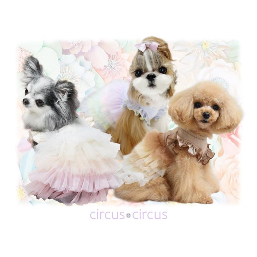 Circus Circus Furi Furi Hello Op Xxs Sサイズ サーカスサーカス 犬服 ドッグウェア ペット ワンピース Ccw 0197 Xxs S Pet Chou Chou 通販 Yahoo ショッピング
