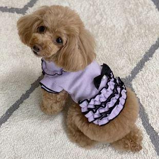 犬の服 高級素材使用ブランド 二ット配色フリルワンピース Kalina カリーナ 犬服 フリル ドッグウェア 秋服 かわいい お出かけ おしゃれ セレブ 冬服