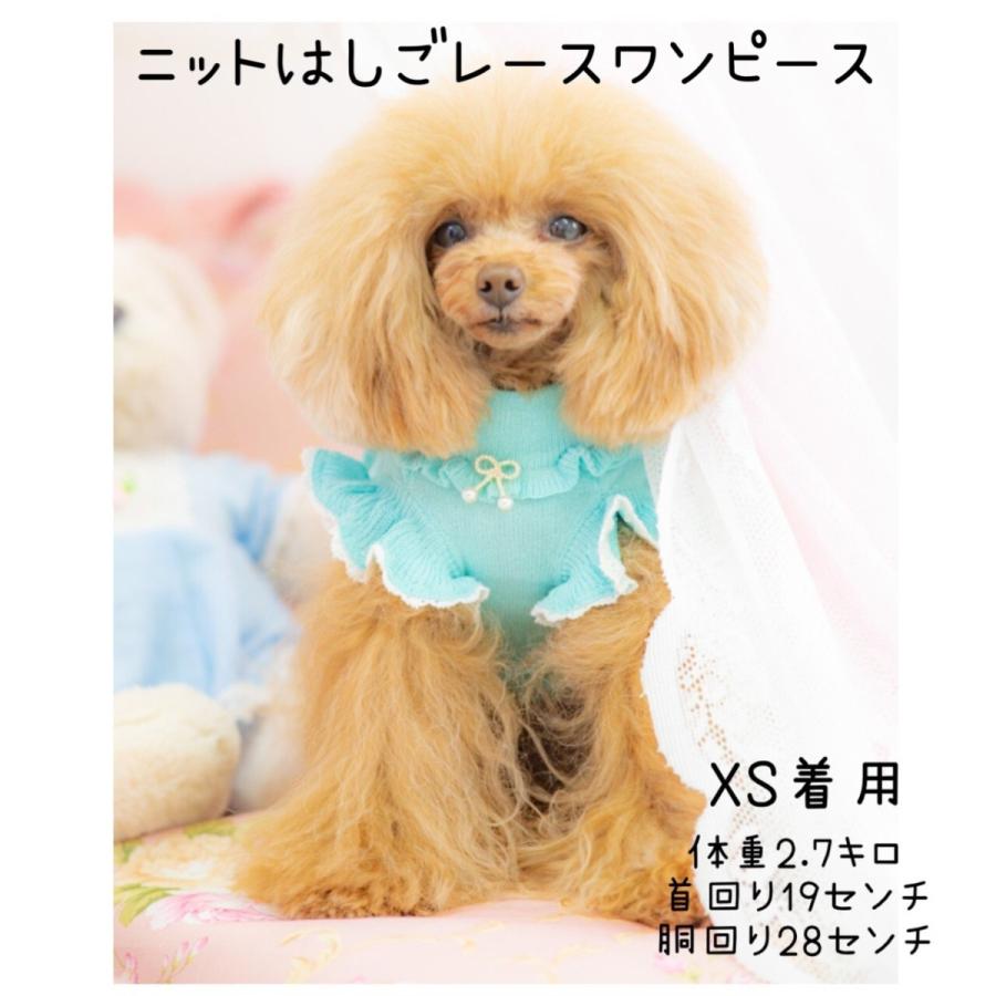 SALE】ニットはしごレースワンピース KALINA カリーナ 犬服 フリル