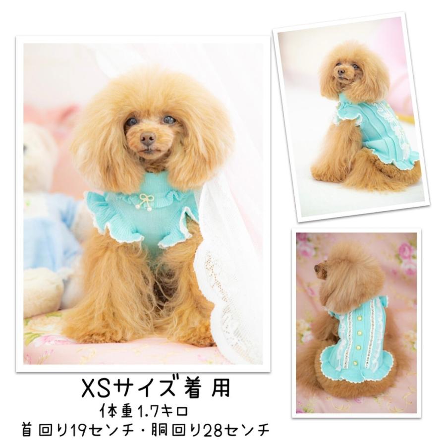 ニットはしごレースワンピース Kalina カリーナ 犬服 フリル ドレス ドッグウェア おしゃれ お出かけ かわいい セレブ Knithashigoop Pet Chou Chou 通販 Yahoo ショッピング