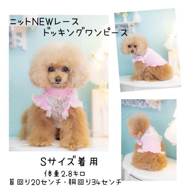 【SALE】ニットNEWレースドッキングワンピース KALINA カリーナ 犬服 フリル ドッグウェア おしゃれ セレブ かわいい おでかけ : knitnewraceop : pet chou chou - 通販 - Yahoo!ショッピング 【SALE】ニットNEWレースドッキングワンピース KALINA カリーナ 犬服 フリル ドッグウェア おしゃれ セレブ かわいい おでかけ : knitnewraceop : pet chou chou - 通販 - Yahoo!ショッピング