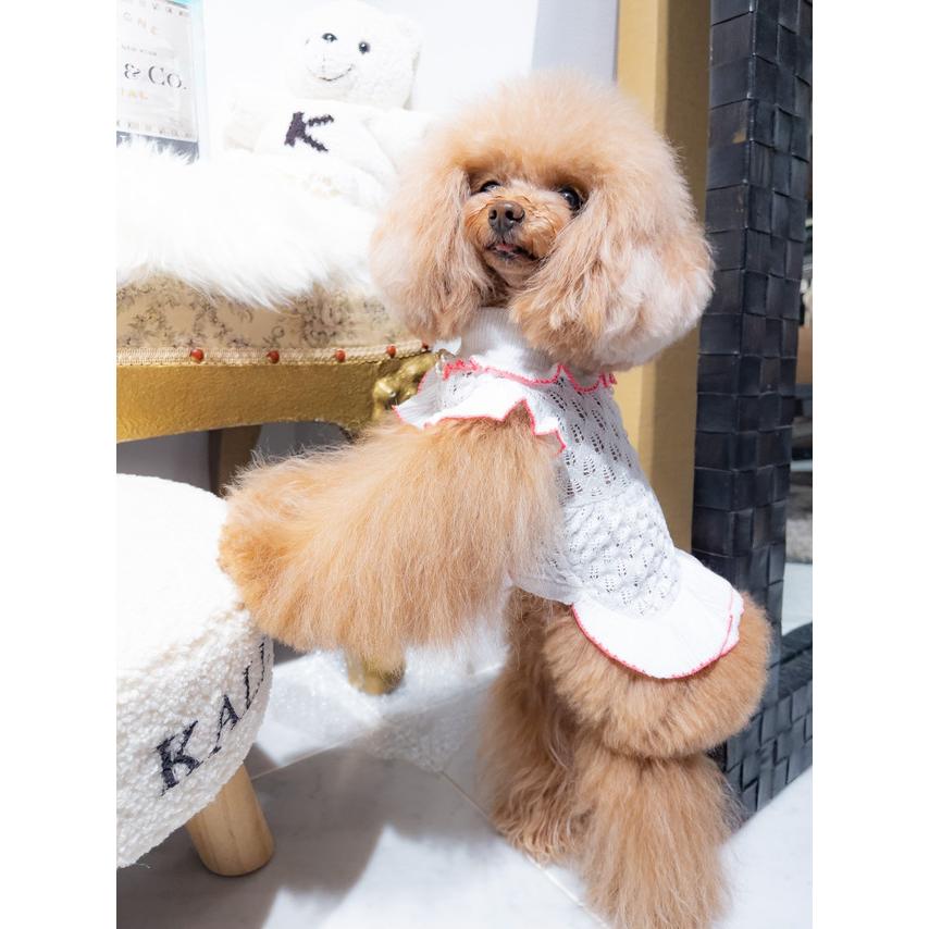 リボンいっぱいコーデュロイpuワンピース Kalina カリーナ 犬服 フリル ドッグウェア おしゃれ お出かけ かわいい セレブ 犬の服 サイズ M Www Nuffieldcounselling Com Sg