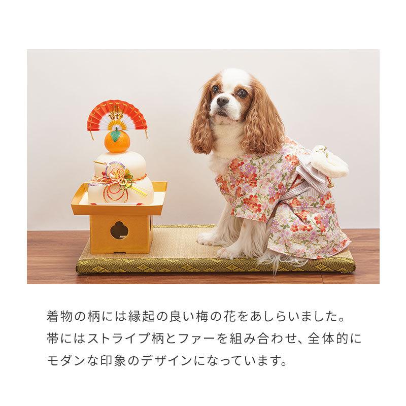 Sale Lifelike モダン晴れ着 ライフライク 犬服 ドッグウェア 正月 着物 袴 冬 小型犬 犬 ファー 年越し コスプレ 年賀状 映え Modanharegi Pet Chou Chou 通販 Yahoo ショッピング
