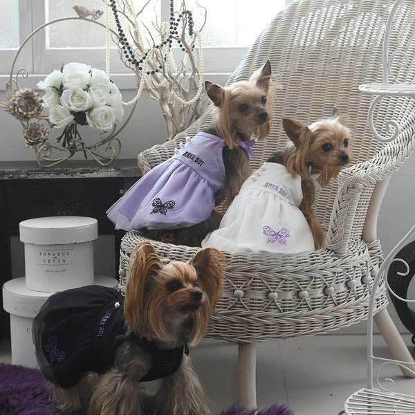 新品本物 Annasui ショルダーリボンキャミワンピース アナスイ 犬服 小型犬 春夏 かわいい ペアルック セレブ ドッグウェア