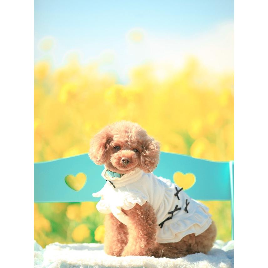 リボンいっぱいコーデュロイpuワンピース Kalina カリーナ 犬服 フリル ドッグウェア おしゃれ お出かけ かわいい セレブ 犬の服 サイズ M Www Nuffieldcounselling Com Sg