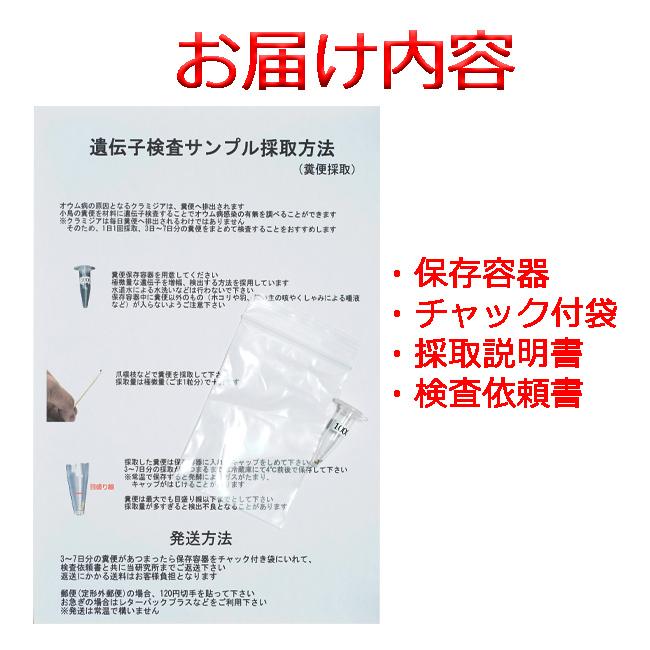 自宅で遺伝子検査・郵送型】小鳥の遺伝子検査キット メガバクテリア