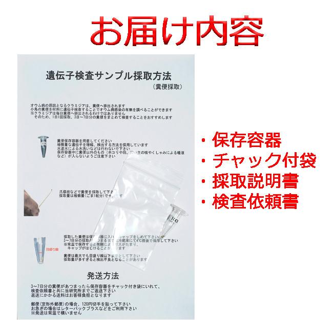【郵送型遺伝子検査】鳥の遺伝子検査キット 　対象<<アスペルギルス>>　｜　インコ、オウム、フィンチ等｜pet-dna｜02