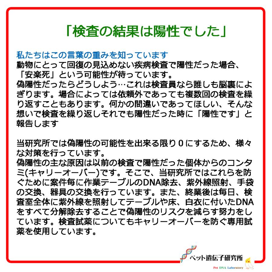 【郵送型遺伝子検査】鳥の遺伝子検査キット 　対象<<鳥ヘルペスウイルス>>　｜　インコ、オウム、フィンチ等｜pet-dna｜07