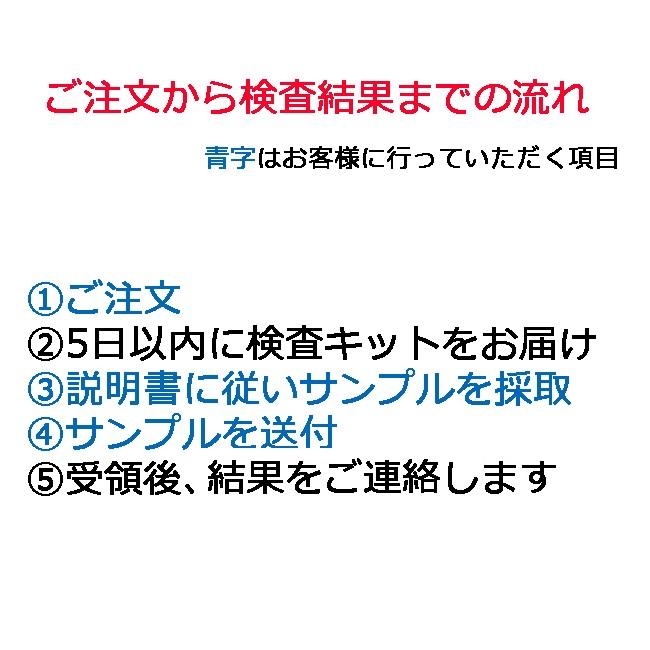 【ペット用遺伝子検査】猫の遺伝子検査キット　猫クラミジア&猫ヘルペスウイルス　C1+C2｜pet-dna｜04