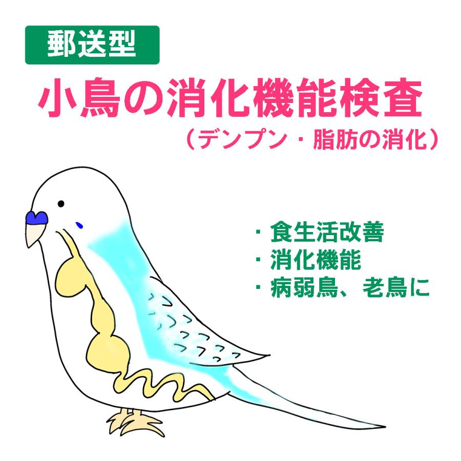 インコ、オウムの 糞便 消化機能の検査キット（糞便顕微鏡観察サービス