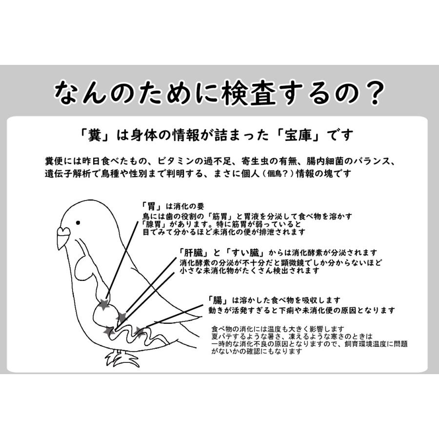 インコ、オウムの 糞便 消化機能の検査キット（糞便顕微鏡観察サービス