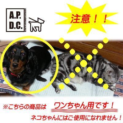 ペットシャンプー　APDC　ウォーターレスシャンプー　200ml｜pet-dougu｜03