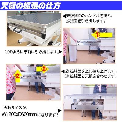 【新版】 【大型犬対応】電動式トリミングテーブル　Bee N-109 【VQL1443742727】(51909円)