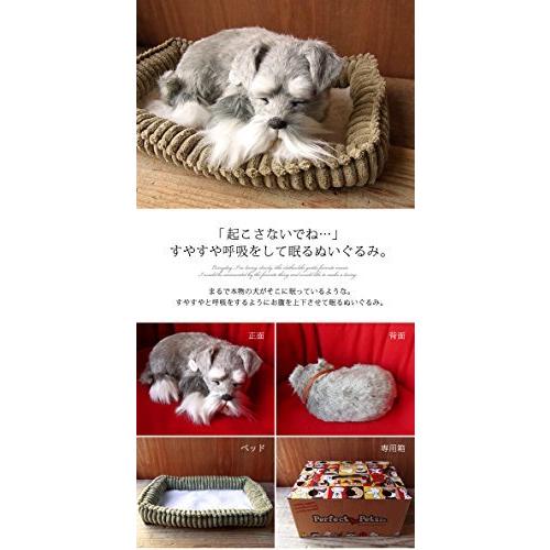 知念侑李 特大さぼねん ぬいぐるみ1個 Mikel Bz