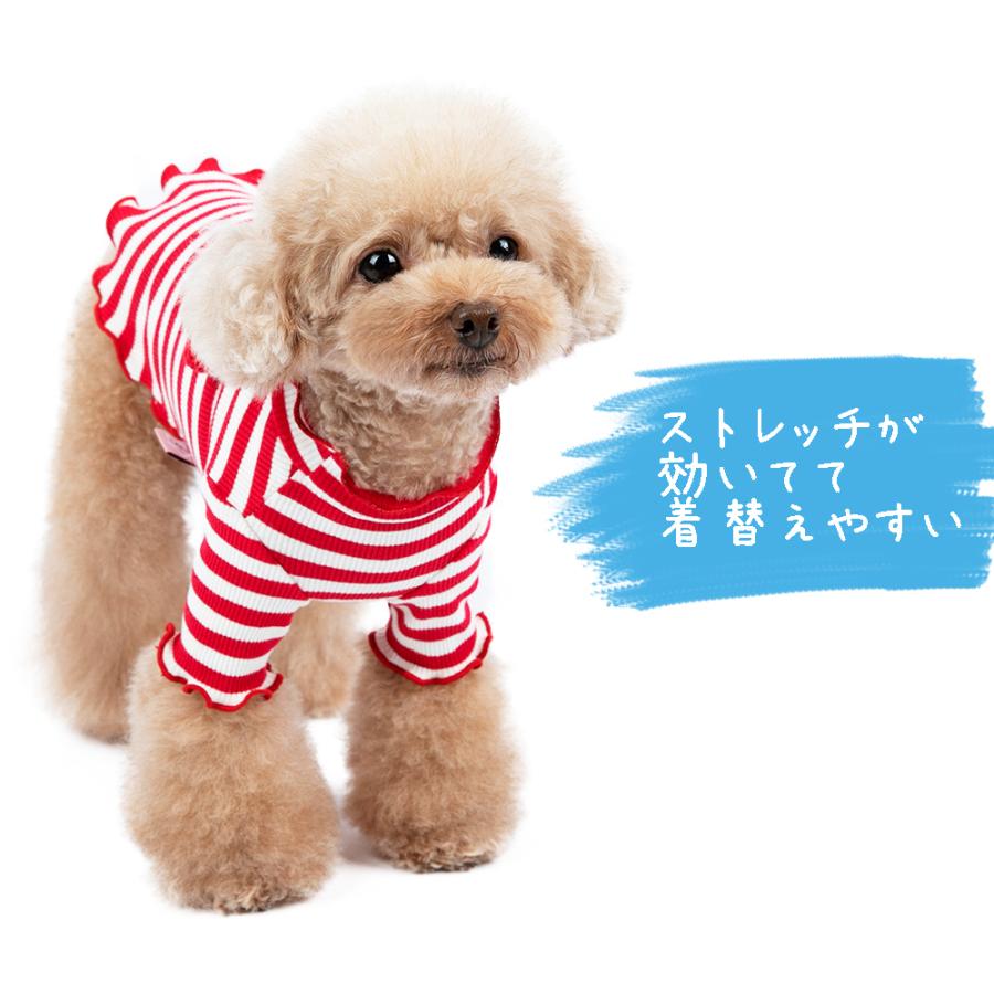 犬ボーダーシャツ　マルチボーダーＴシャツ　犬お洋服　ペットボーダーウェア 犬服 犬 服 カットソー シャツ ネオンカラー ネック ボーダー