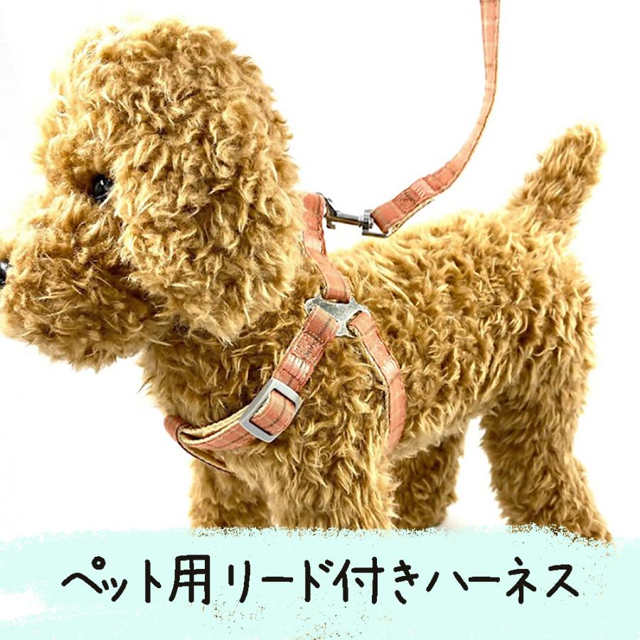犬 ハーネス リード付き かわいい おしゃれ 首輪 胴輪 散歩 ペット用品 小型犬 中型犬 大型犬 猫 首輪 Petground Ha002 Petground 通販 Yahoo ショッピング