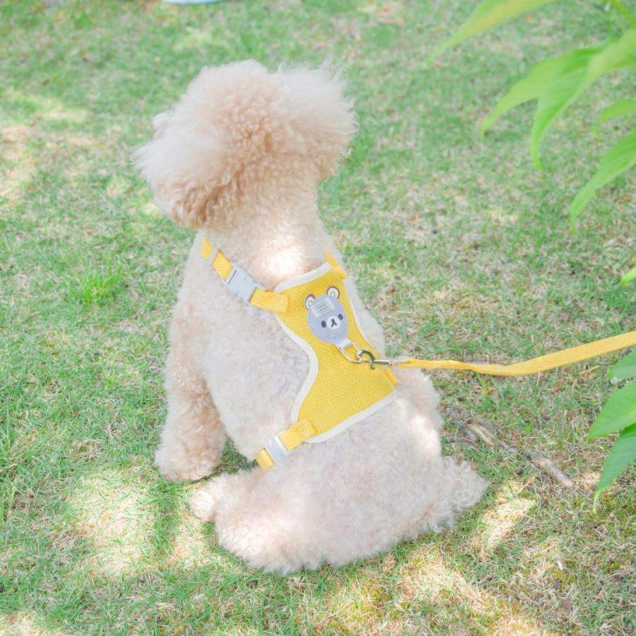 犬 ハーネス リード付き かわいい くまさん ハーネスリードセット