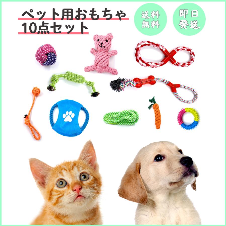 犬 おもちゃ にんじん 噛む 歯磨き ボール ロープ ぬいぐるみ 知育玩具 ペット 猫おもちゃ 10個セット T 003 Petground 通販 Yahoo ショッピング