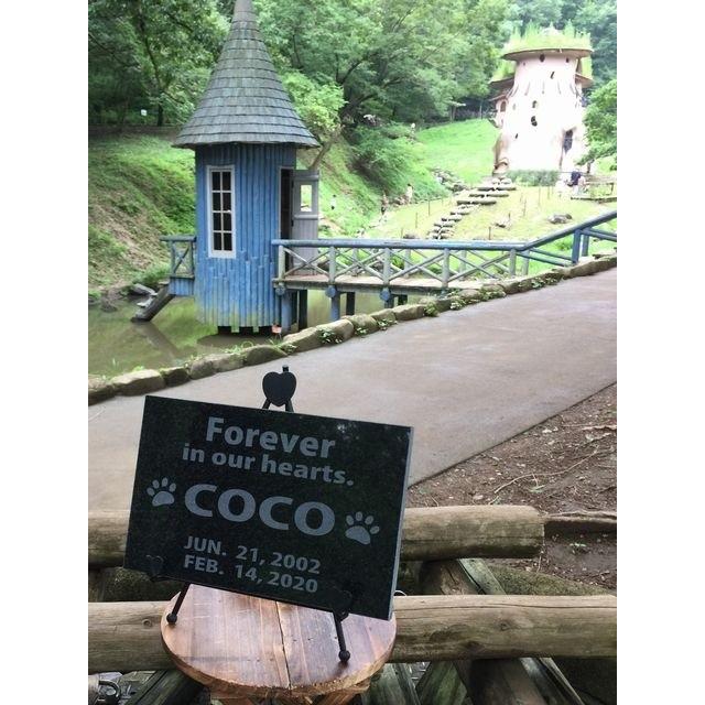 ペットの墓石【ペット墓】Y861444