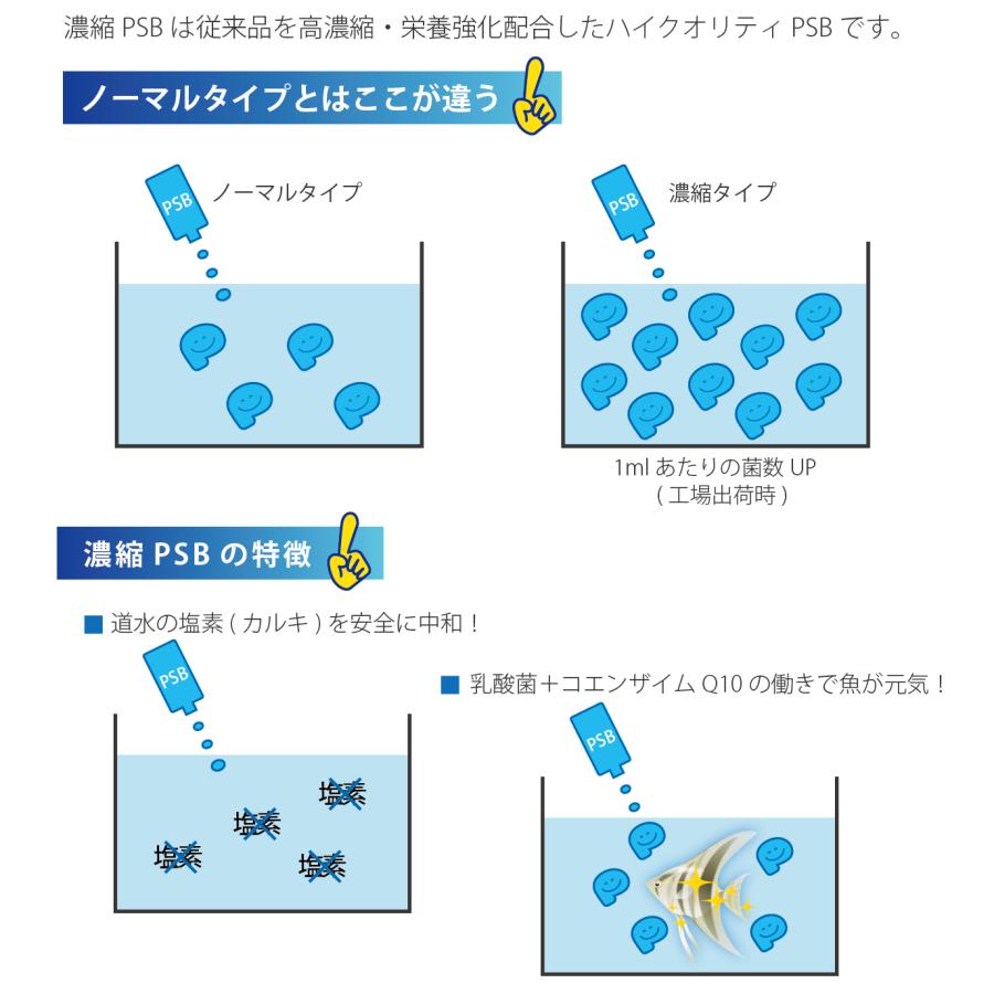 濃縮 PSB 250ml　サンミューズ　淡水用　中和剤　カルキ抜　金魚　メダカ　バクテリア　K｜pet-kazoku｜03