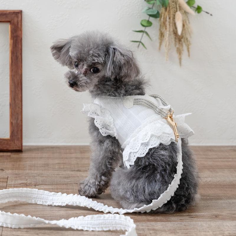 PET PARADISE（ペットパラダイス） 犬 リード レース フリル 小型犬