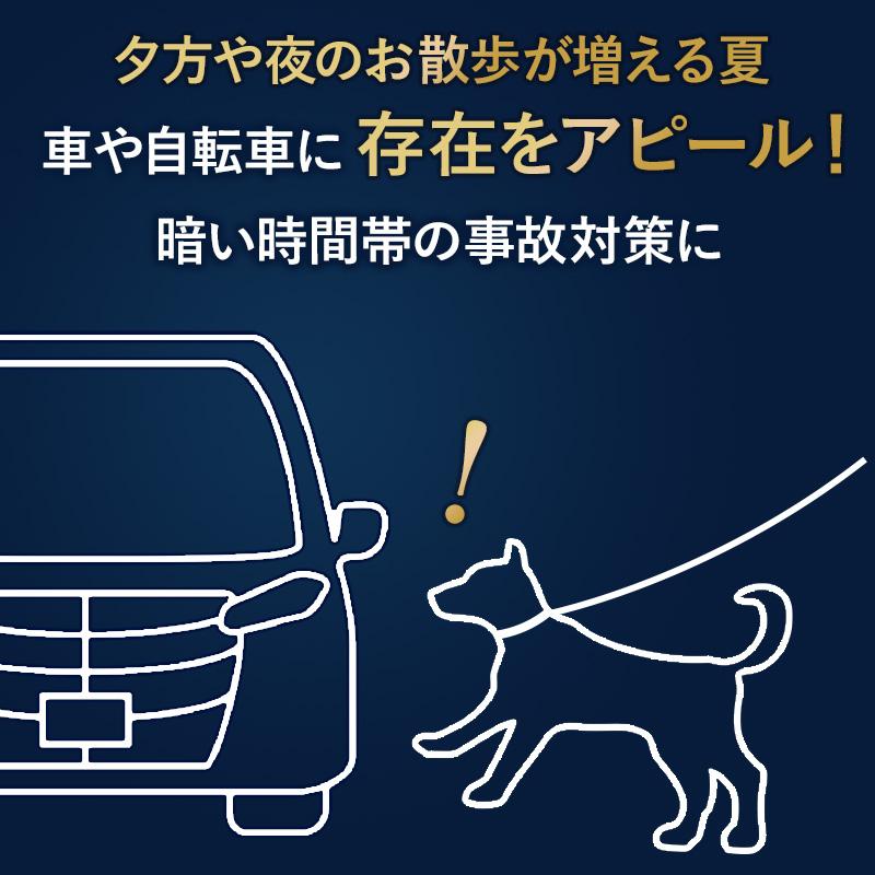 PET PARADISE（ペットパラダイス） 犬 ハーネスリード 超反射 ハーネス
