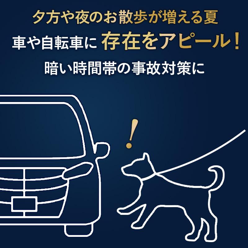 PET PARADISE（ペットパラダイス） 犬 ハーネスリード 超反射 ハーネス