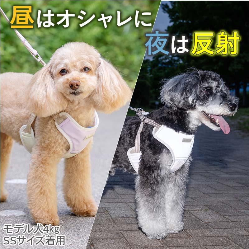 PET PARADISE（ペットパラダイス） 犬 ハーネスリード 超反射 ハーネス