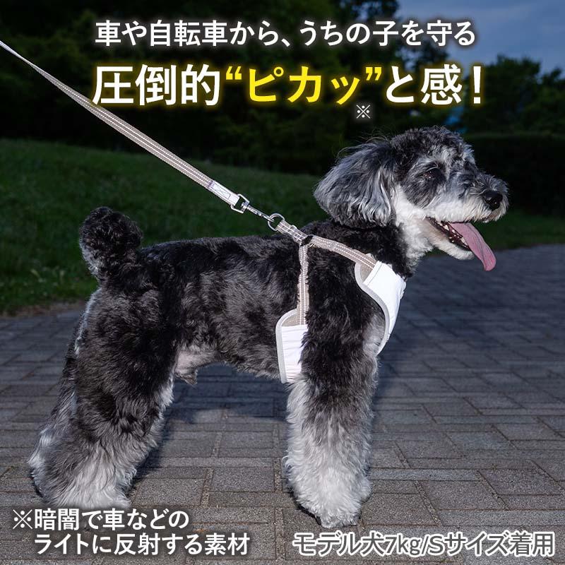 PET PARADISE（ペットパラダイス） 犬 ハーネスリード 超反射 ハーネス