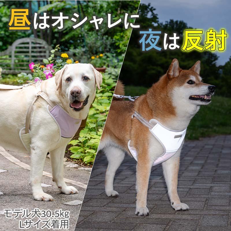 PET PARADISE（ペットパラダイス） 犬 ハーネスリード 超反射 ハーネス