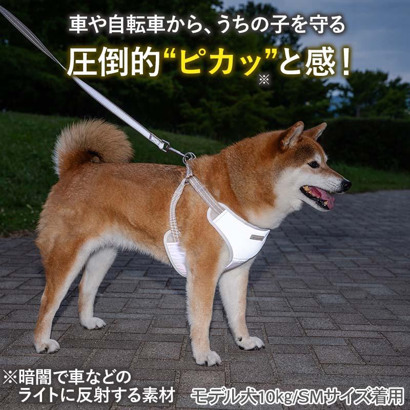PET PARADISE（ペットパラダイス） 犬 ハーネスリード 超反射 ハーネス