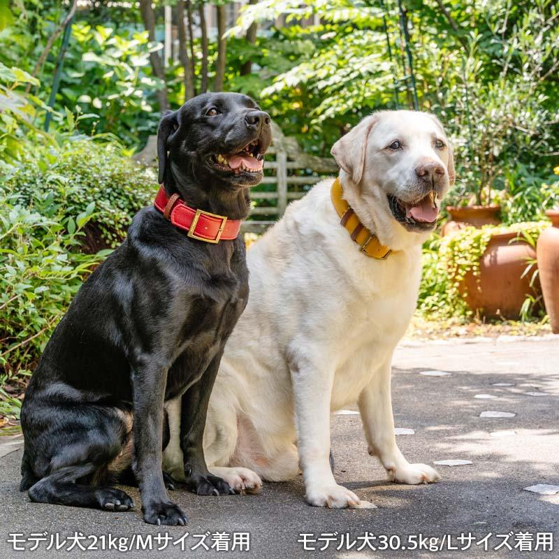 未使用　未開封　中型犬　首輪　Mサイズ　イエロー PET PARADISE（ペットパラダイス） 犬 首輪 ソフトレザー首輪 中型犬