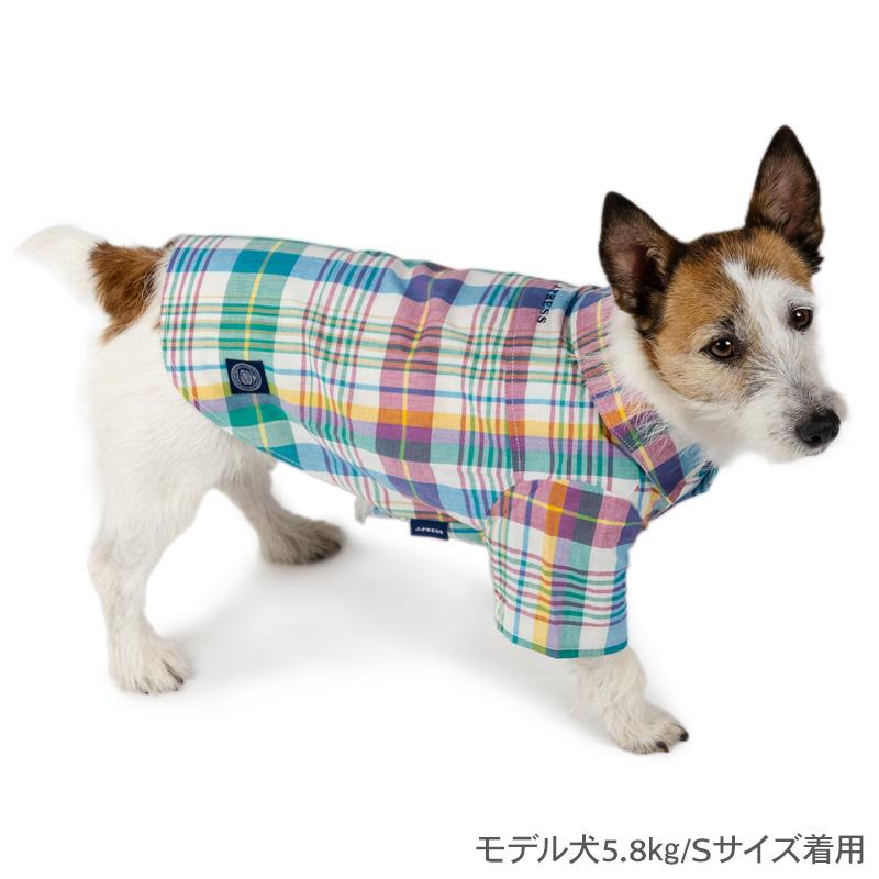 J.PRESS（J.プレス） サマーセール 犬 服 春 マドラスチェック ブルー