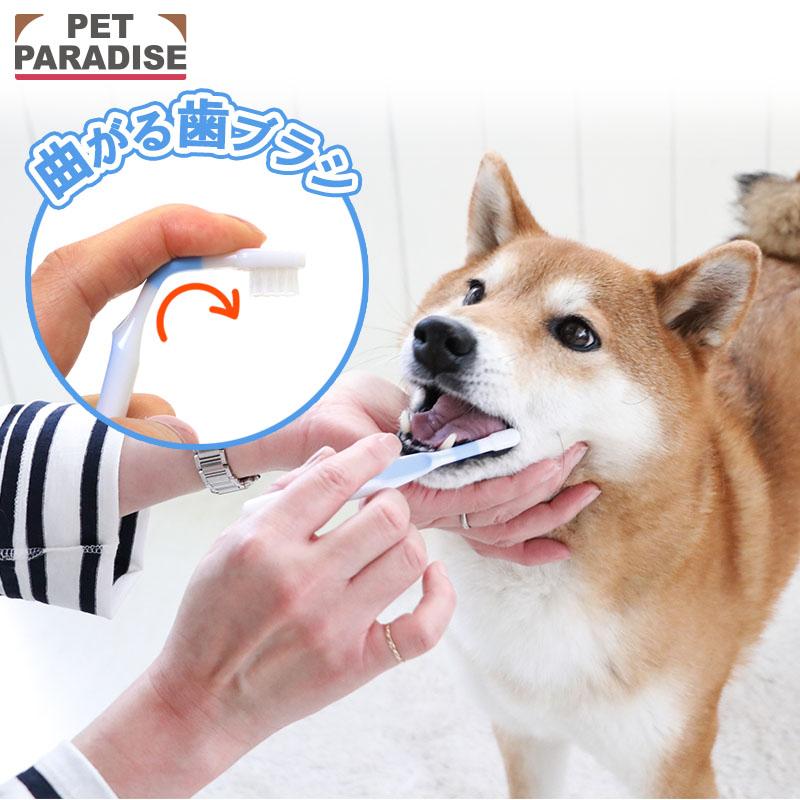 PET PARADISE（ペットパラダイス） 犬 歯磨き 曲がる 歯ブラシ