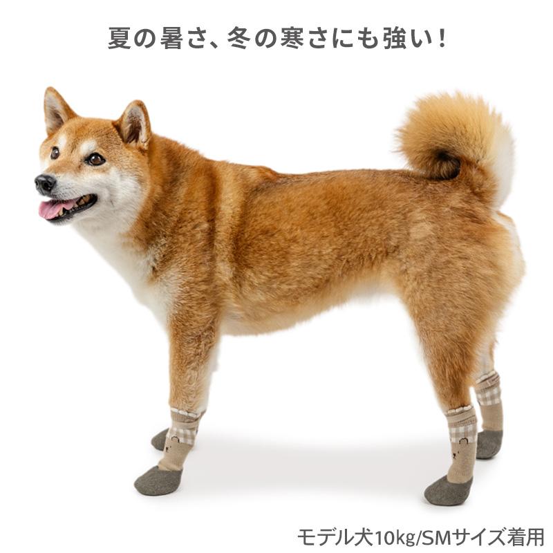 PET PARADISE（ペットパラダイス） 犬 靴 靴下 くまちゃん フィット