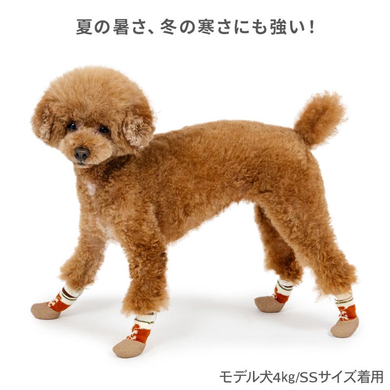 PET PARADISE（ペットパラダイス） 犬 靴 靴下 ボーダー フィット