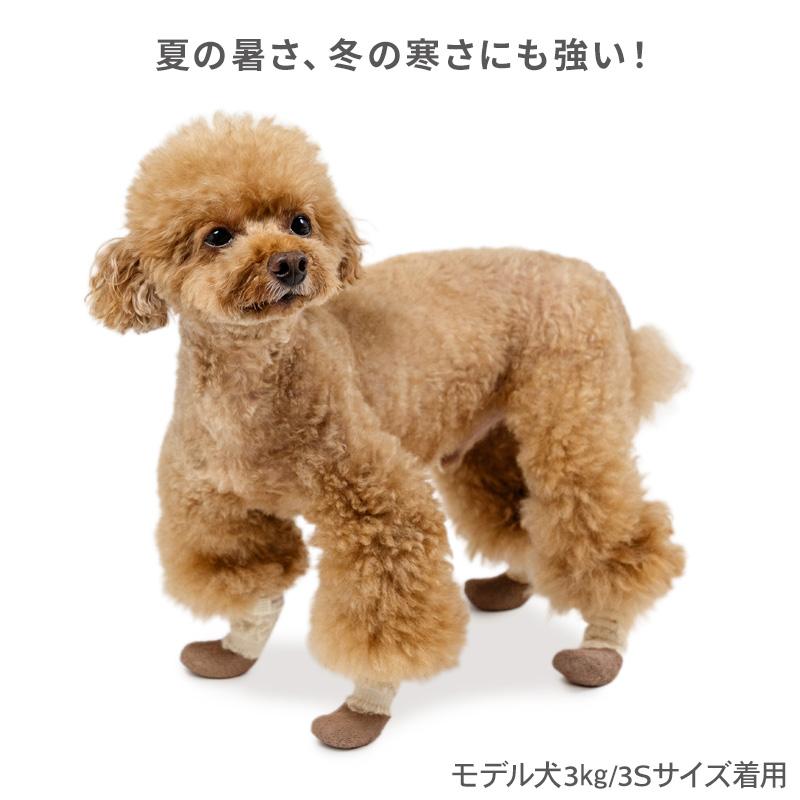 PET PARADISE（ペットパラダイス） 犬 靴 靴下 フリル フィット