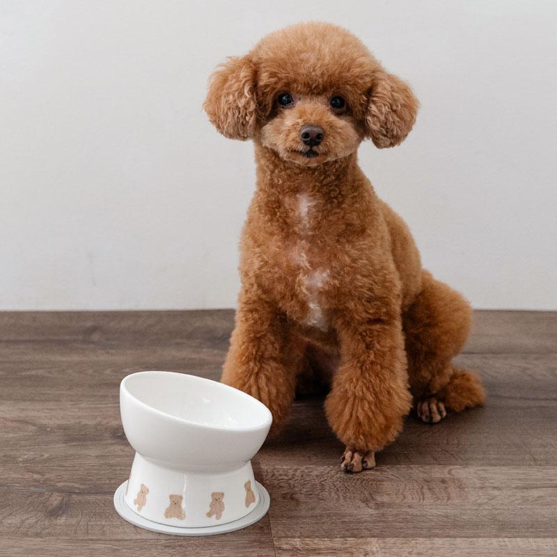 PET PARADISE（ペットパラダイス） 犬 食器 皿 高さのある えさ皿