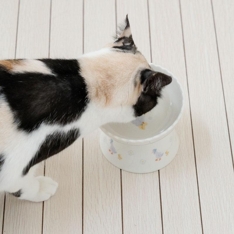 PET PARADISE（ペットパラダイス） サマーセール 猫 フードボウル 陶器