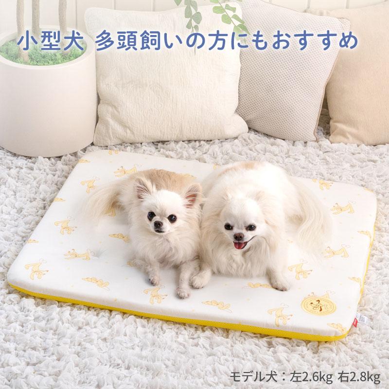 Disney（ディズニー） プルート 犬 夏 もちっと クール マット 小型犬