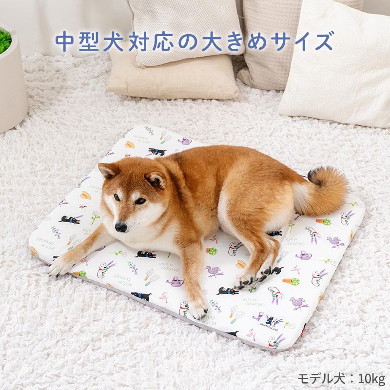 PET PARADISE（ペットパラダイス） リサとガスパール 犬 夏 もちっと
