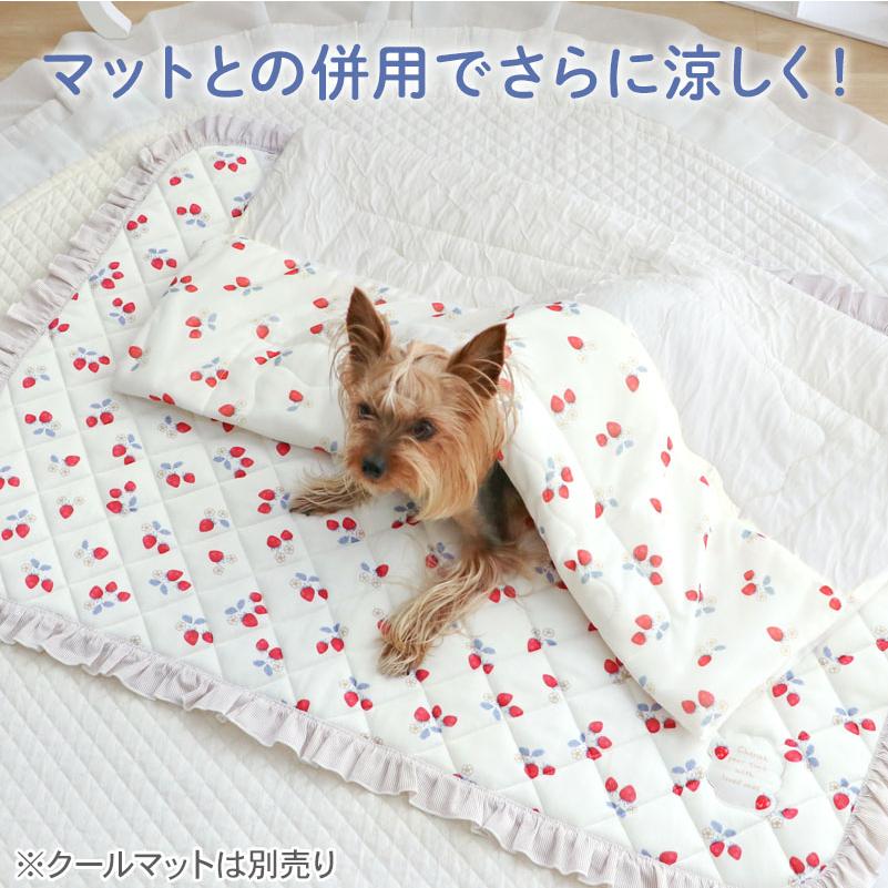 PET PARADISE（ペットパラダイス） 犬 ブランケット 夏用 苺柄 も