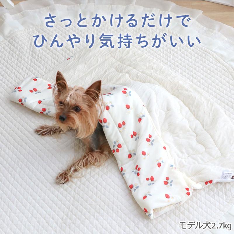 PET PARADISE（ペットパラダイス） 【P10倍】犬 ブランケット 夏用 苺