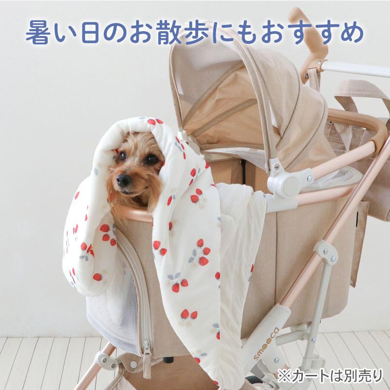 PET PARADISE（ペットパラダイス） 【P10倍】犬 ブランケット 夏用 苺