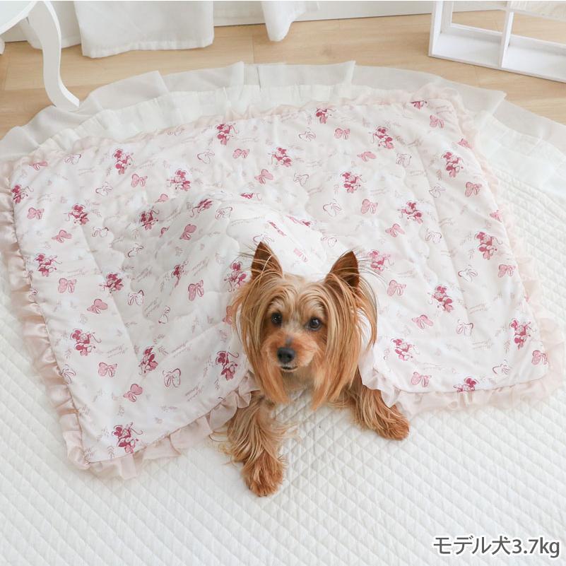 Disney（ディズニー） ミニーマウス 犬 ブランケット 夏用 もちっと
